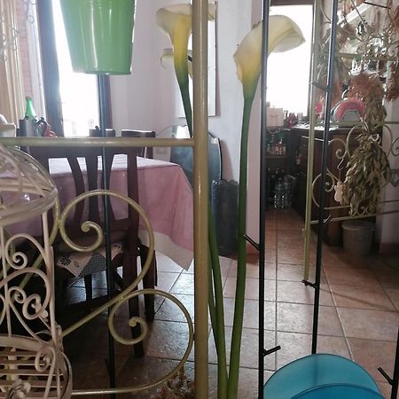 B&B Casacori Orosei Zewnętrze zdjęcie