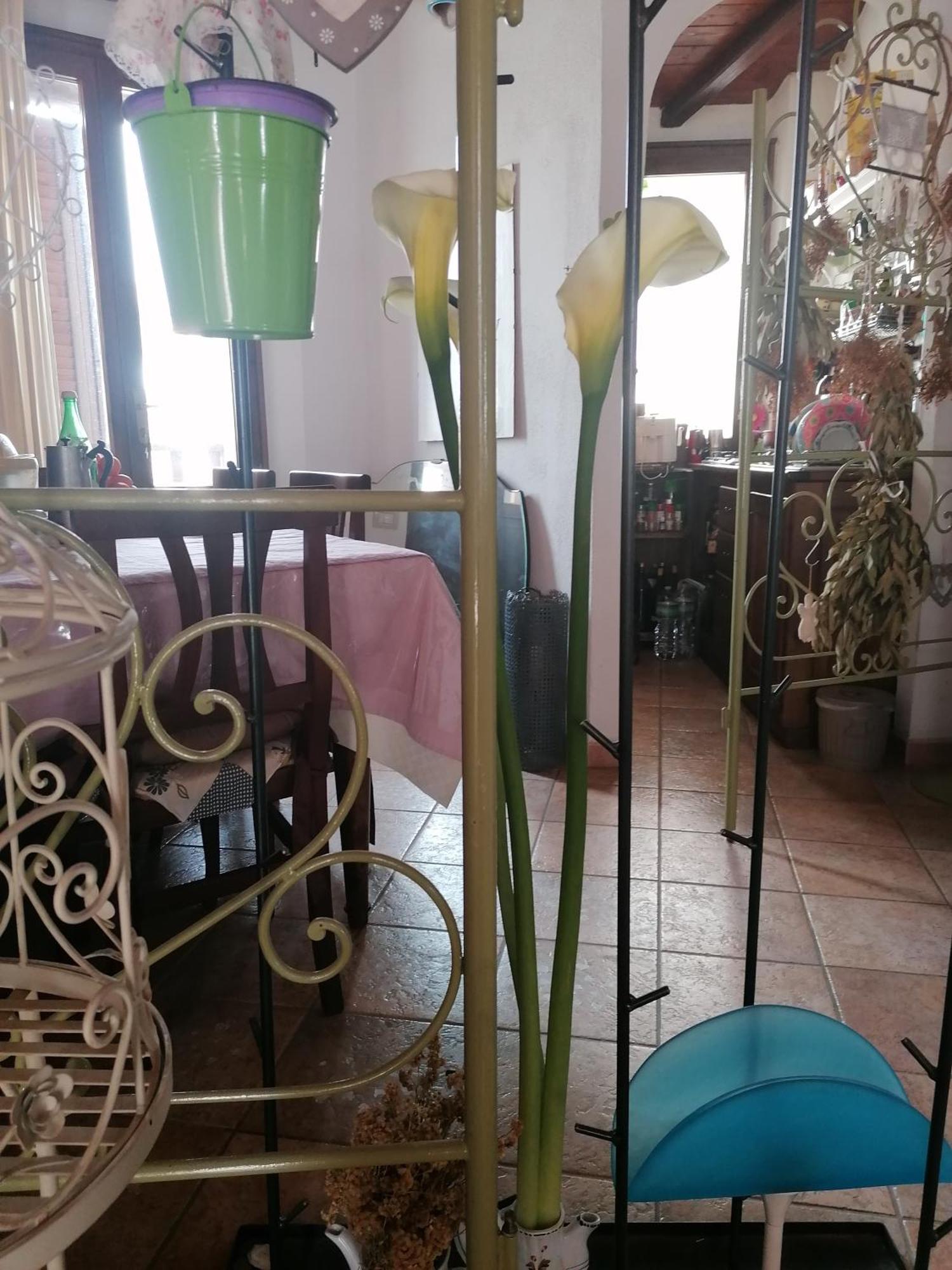 B&B Casacori Orosei Zewnętrze zdjęcie