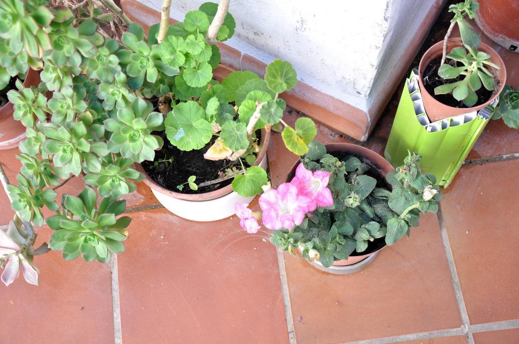 B&B Casacori Orosei Zewnętrze zdjęcie