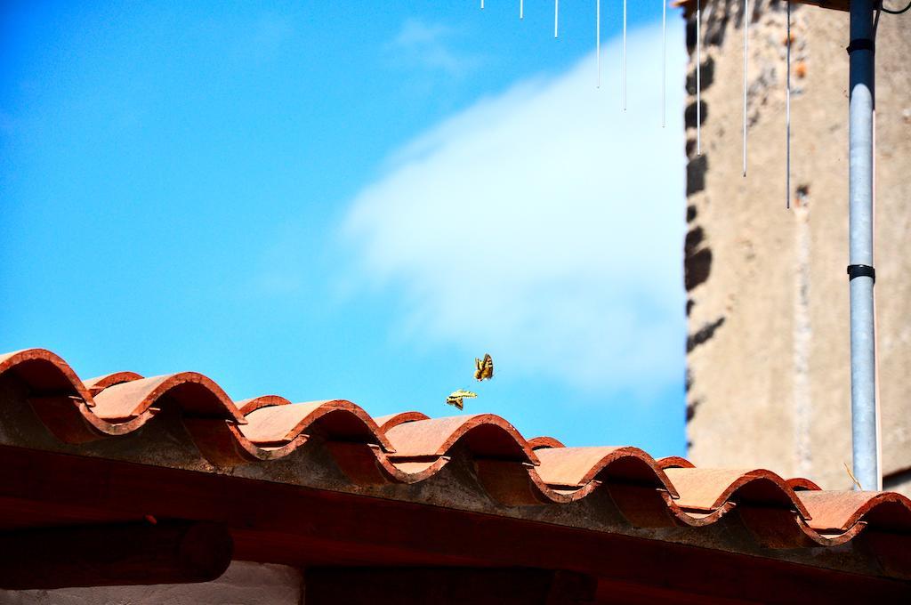 B&B Casacori Orosei Zewnętrze zdjęcie
