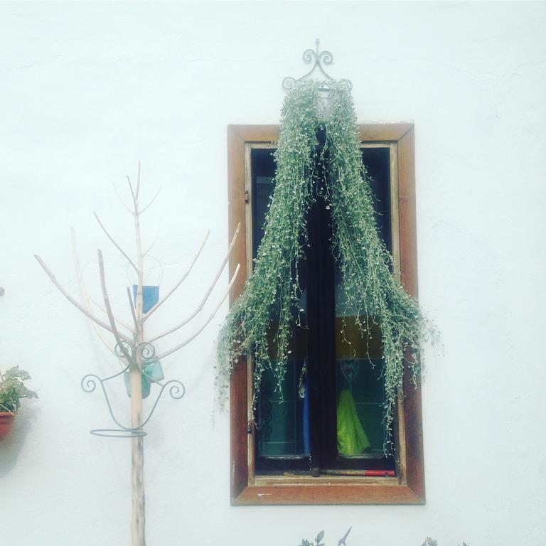 B&B Casacori Orosei Zewnętrze zdjęcie